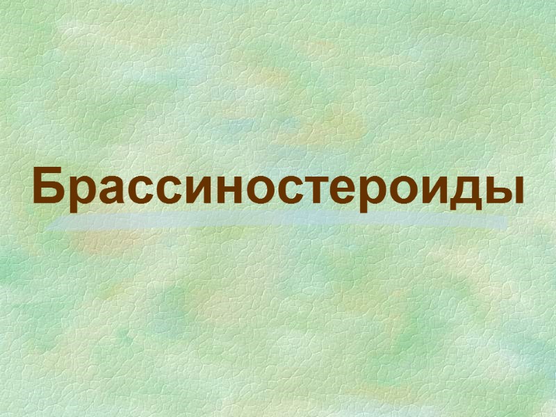 Брассиностероиды